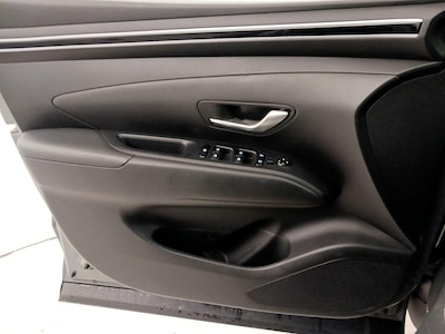 Driver Door Panel