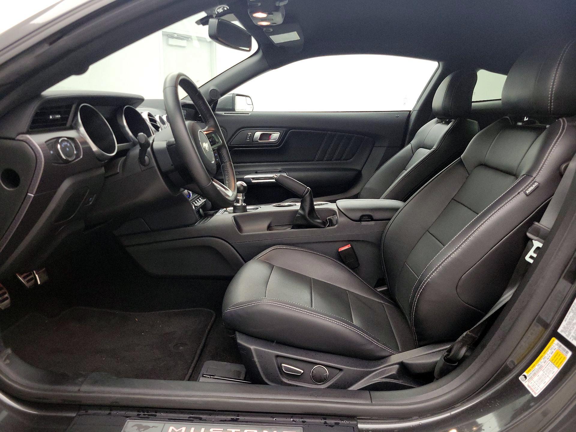 Thumbnail: 2019 Ford Mustang - 11