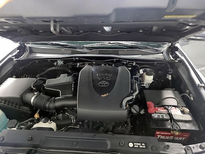 Trunk/Cargo (Seats Down)