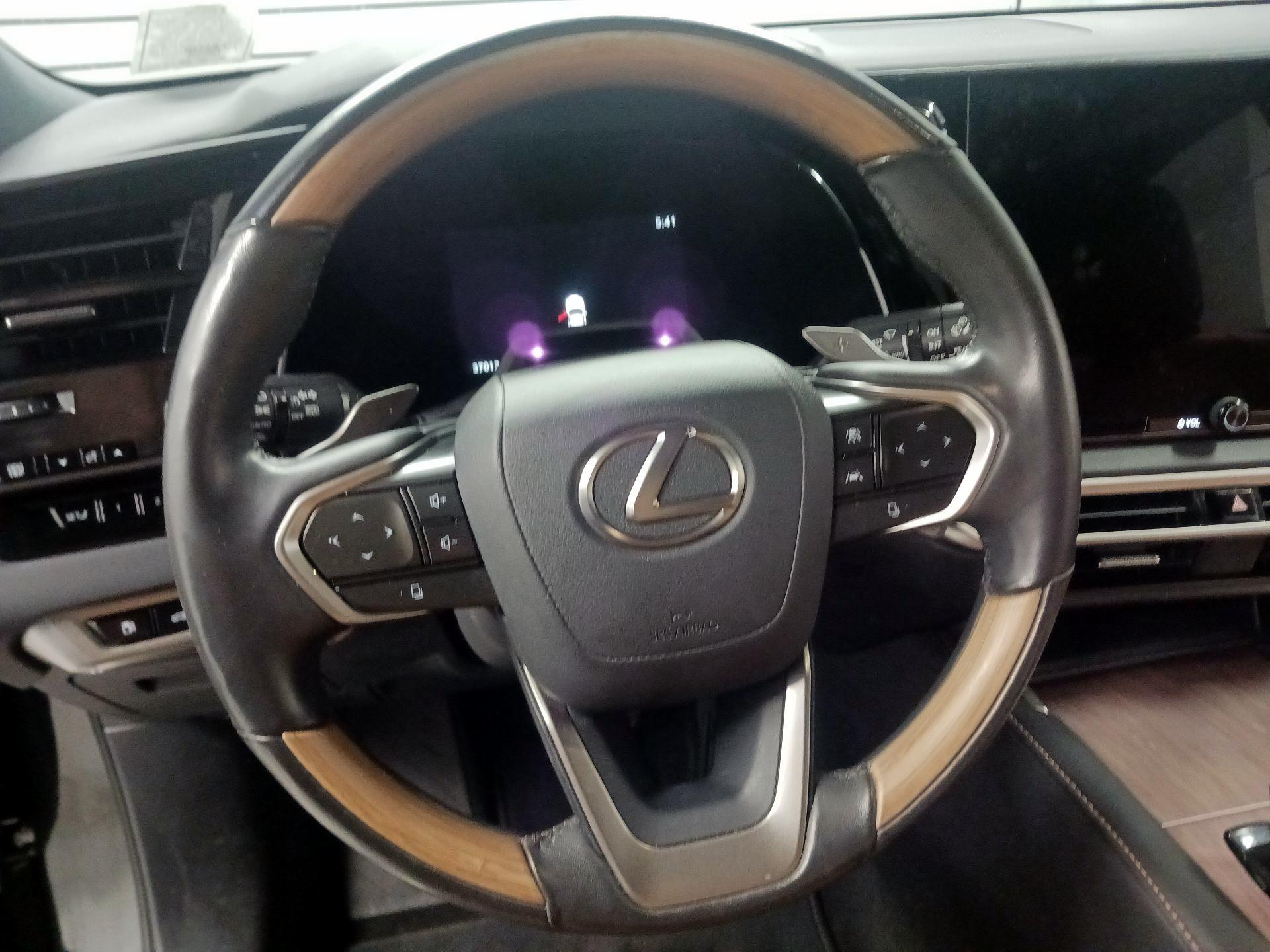 Thumbnail: 2024 Lexus RX - 10