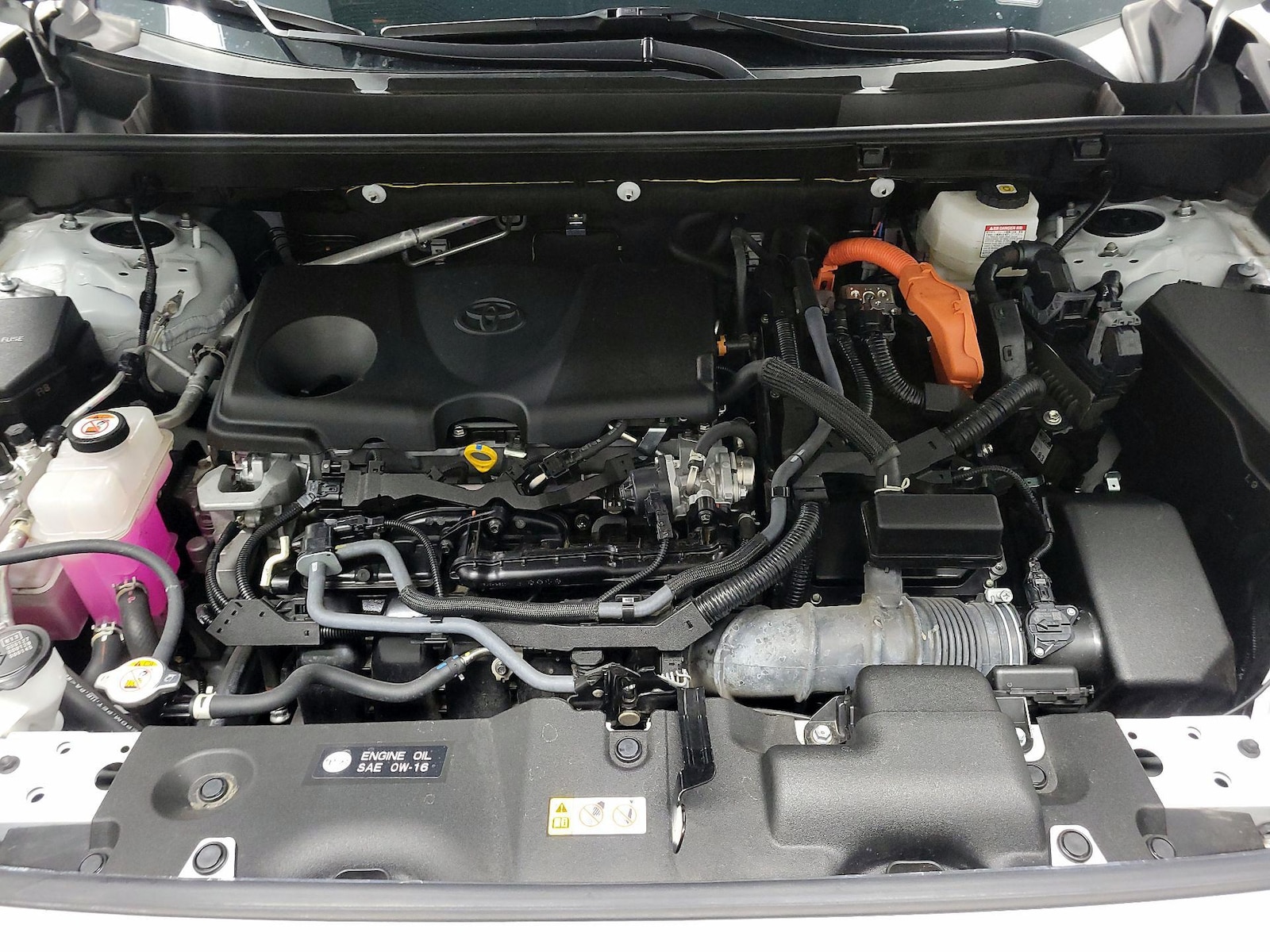 2024 Toyota RAV4 XLE Premium - Photo 19