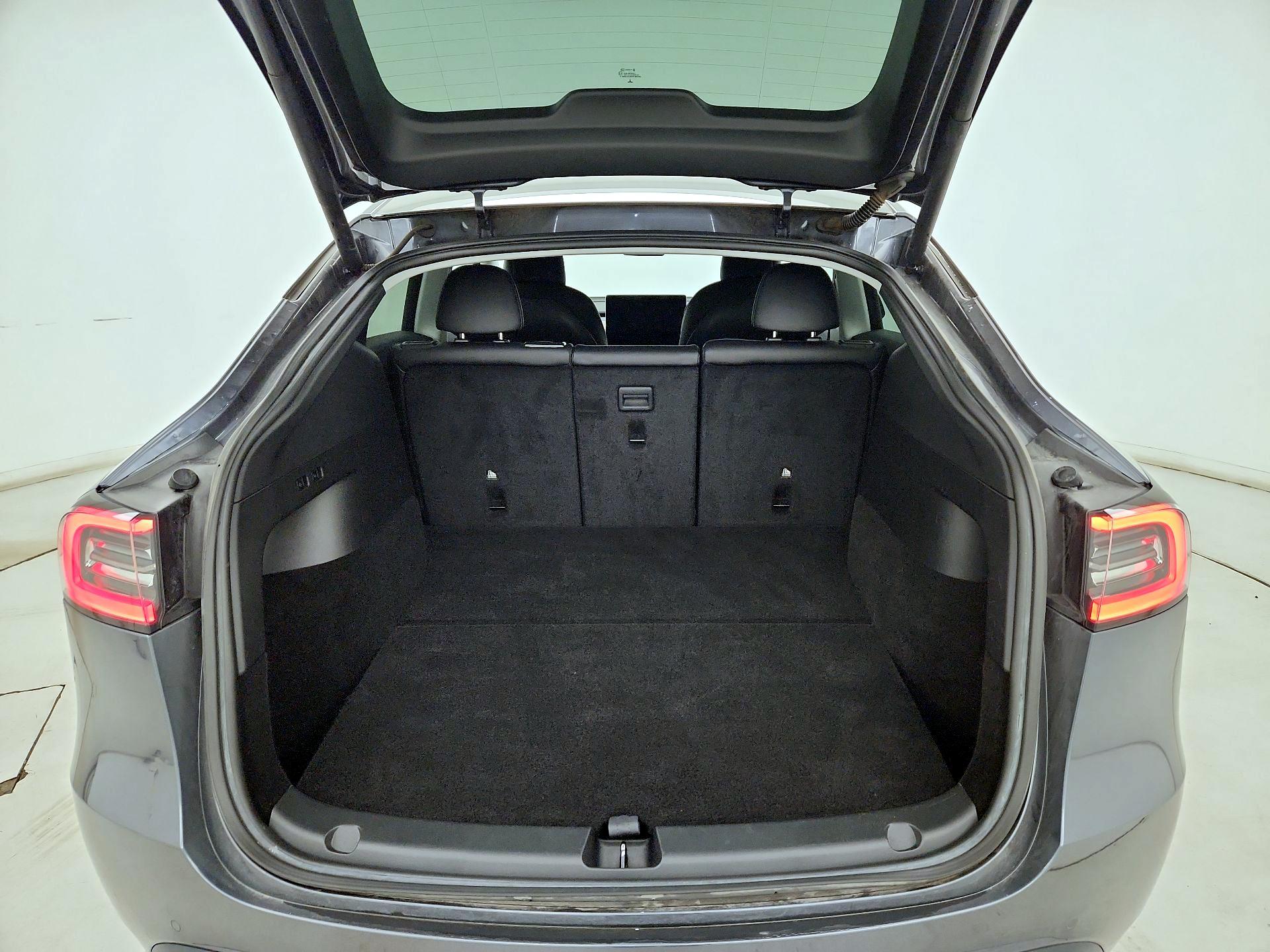 Thumbnail: 2021 Tesla Model Y - 20