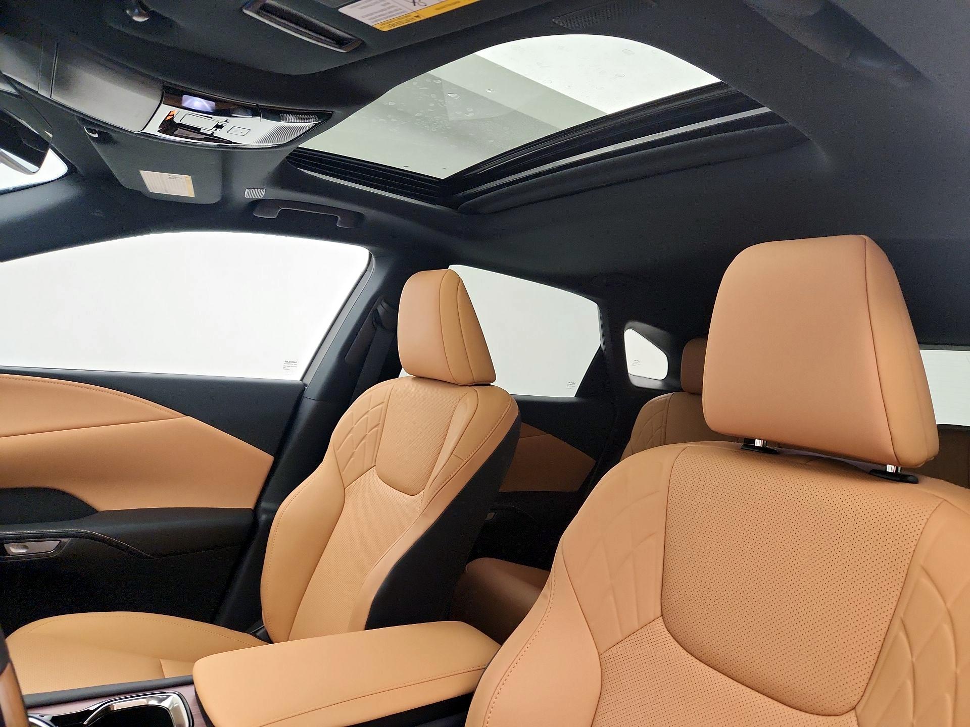 Thumbnail: 2025 Lexus RX - 20