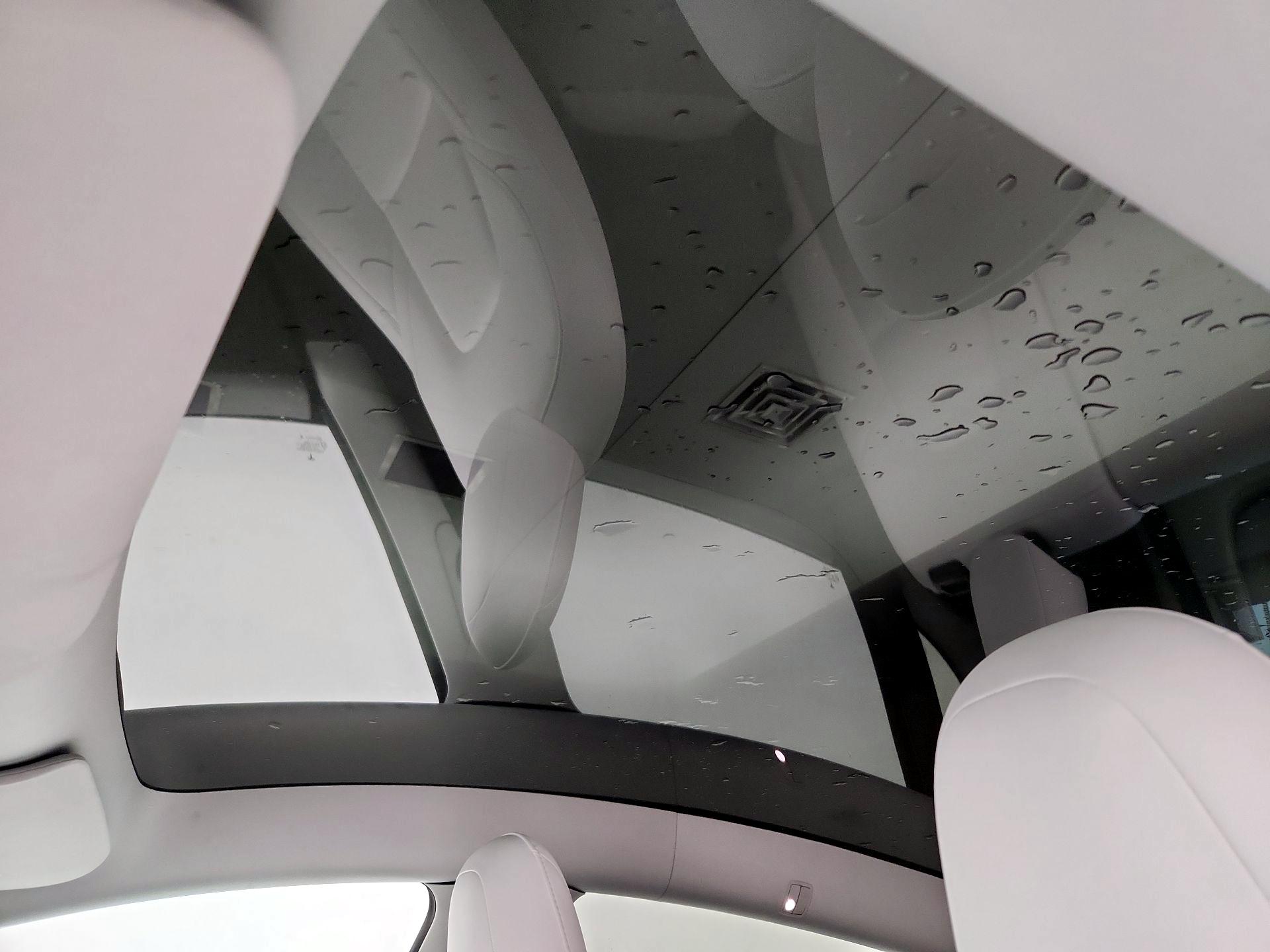 Thumbnail: 2022 Tesla Model Y - 19