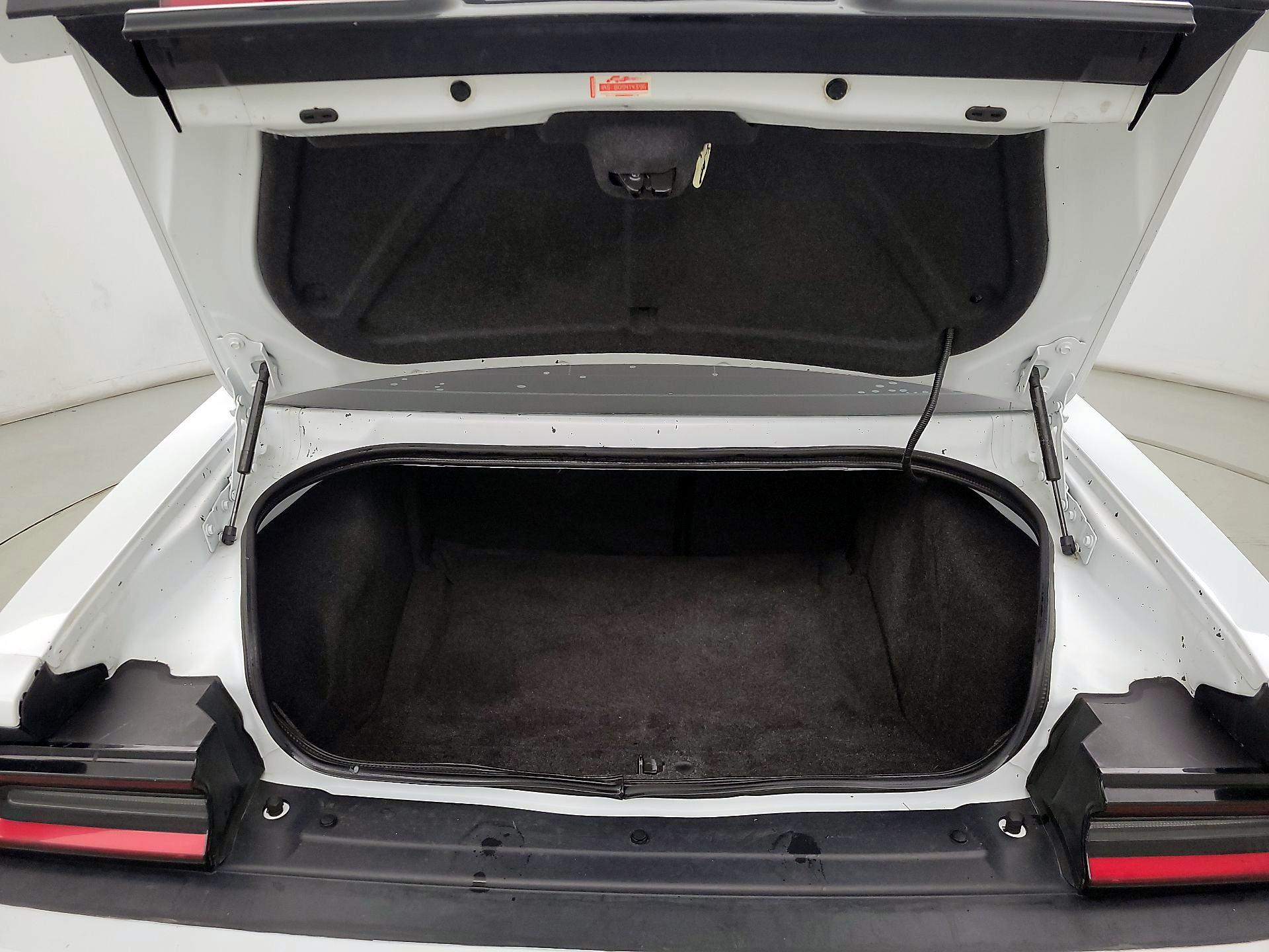 Thumbnail: 2020 Dodge Challenger - 19