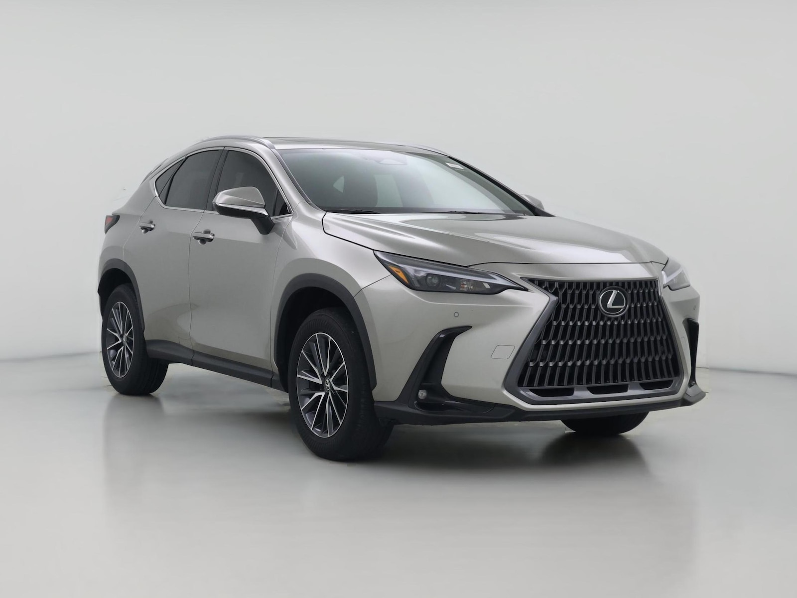 2025 Lexus NX 250