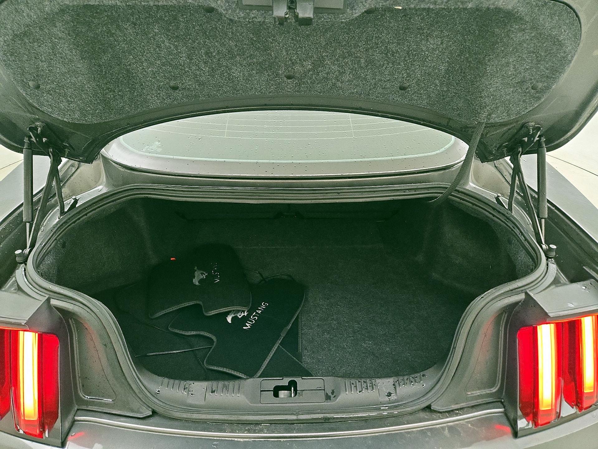 Thumbnail: 2015 Ford Mustang - 19