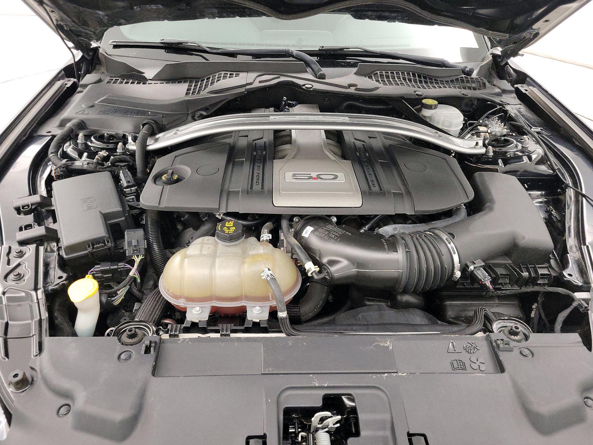 Thumbnail: 2019 Ford Mustang - 20