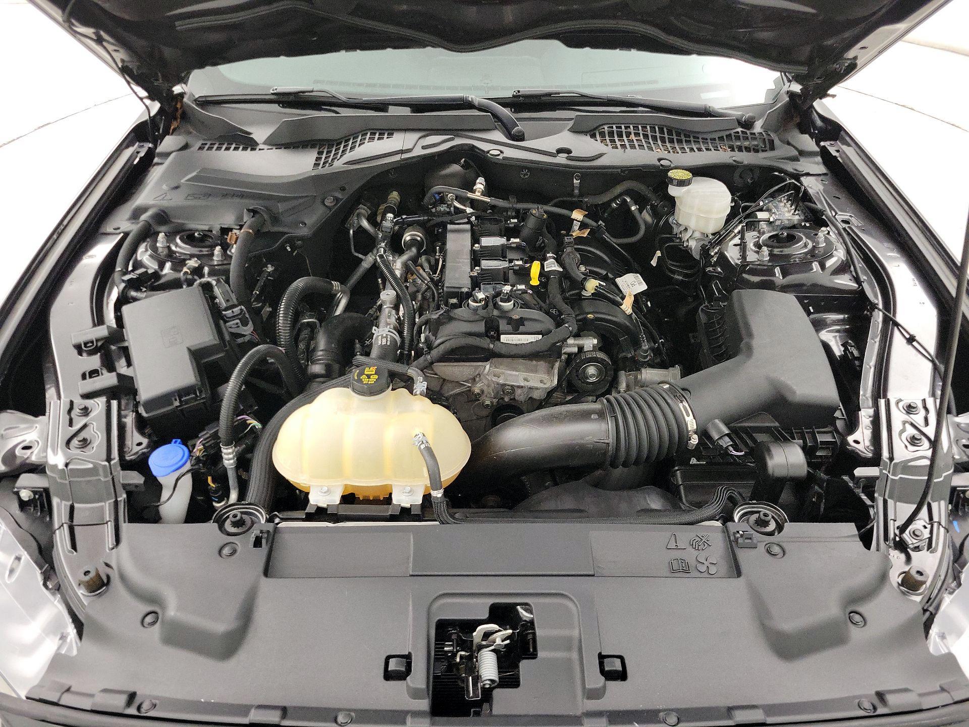 Thumbnail: 2022 Ford Mustang - 19