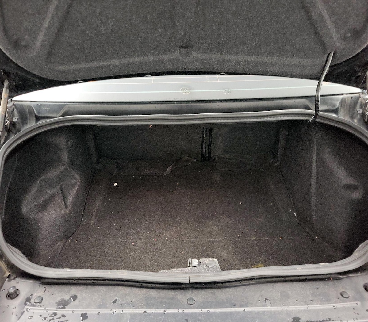 Trunk/Cargo (Seats Up)