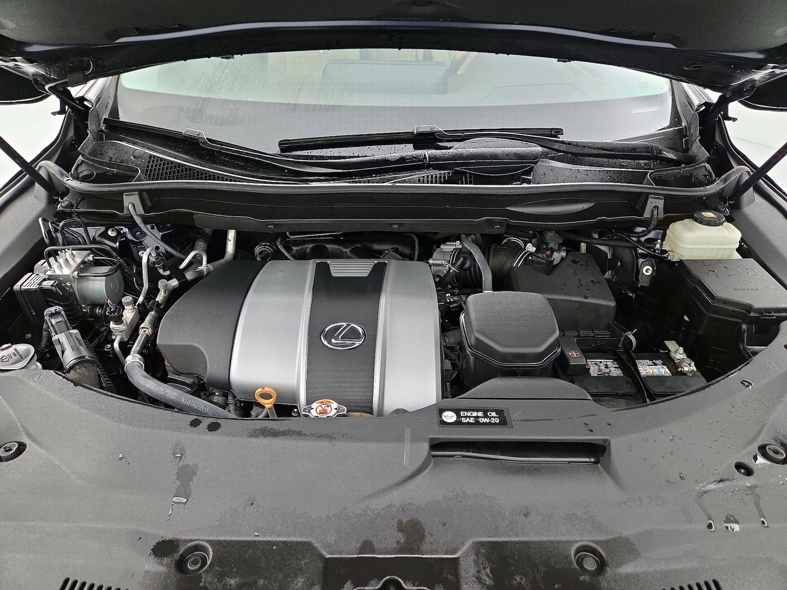 2019 Lexus RX 350 - Photo 24