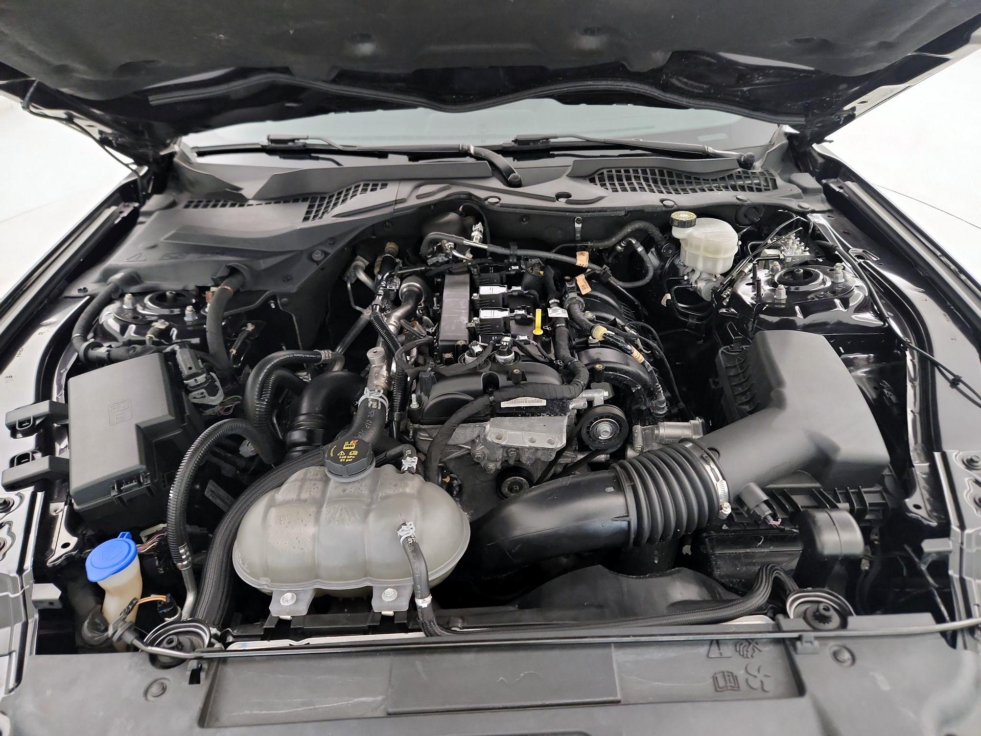 Thumbnail: 2023 Ford Mustang - 20