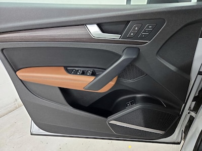 Driver Door Panel