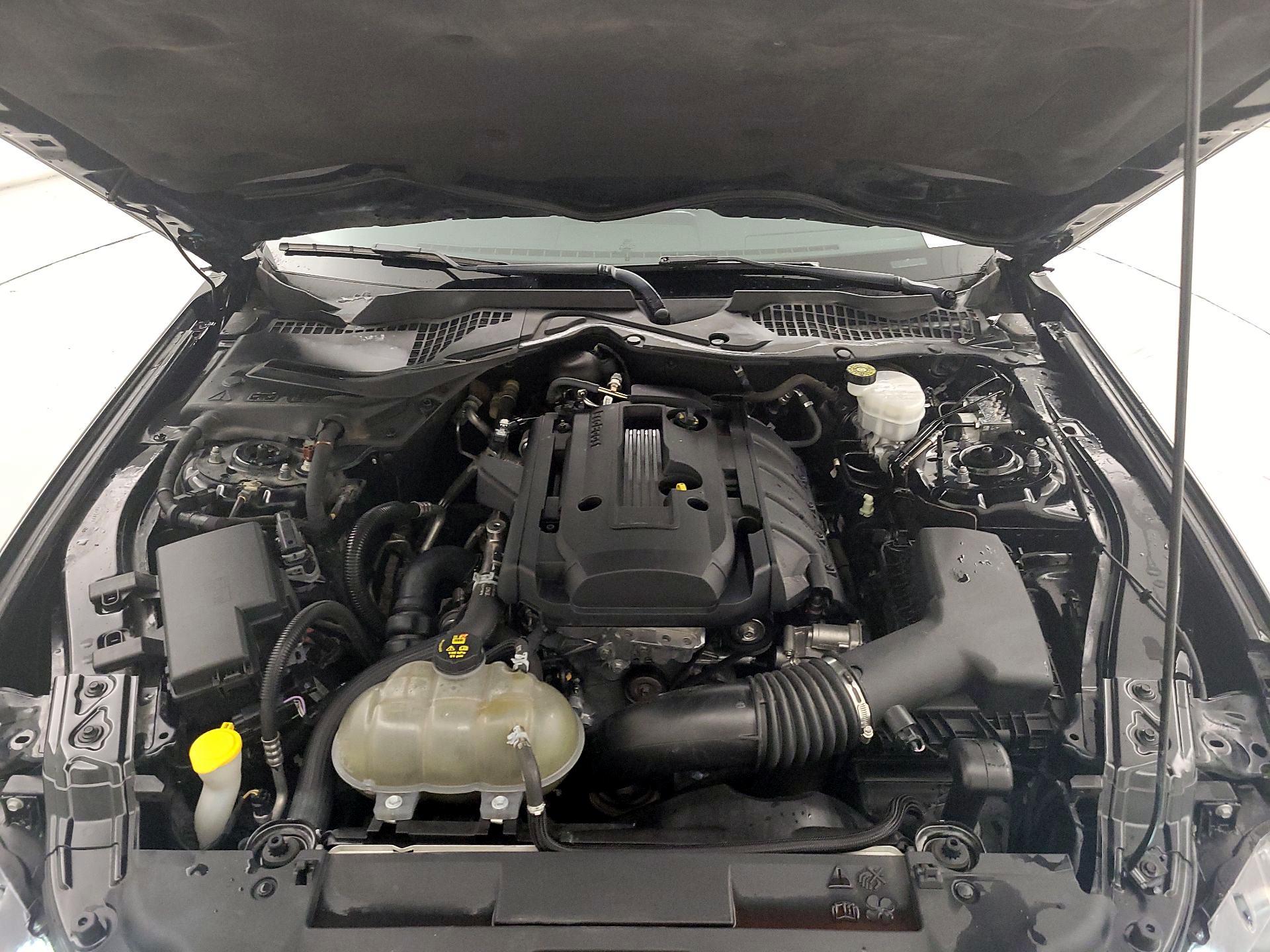 Thumbnail: 2019 Ford Mustang - 19