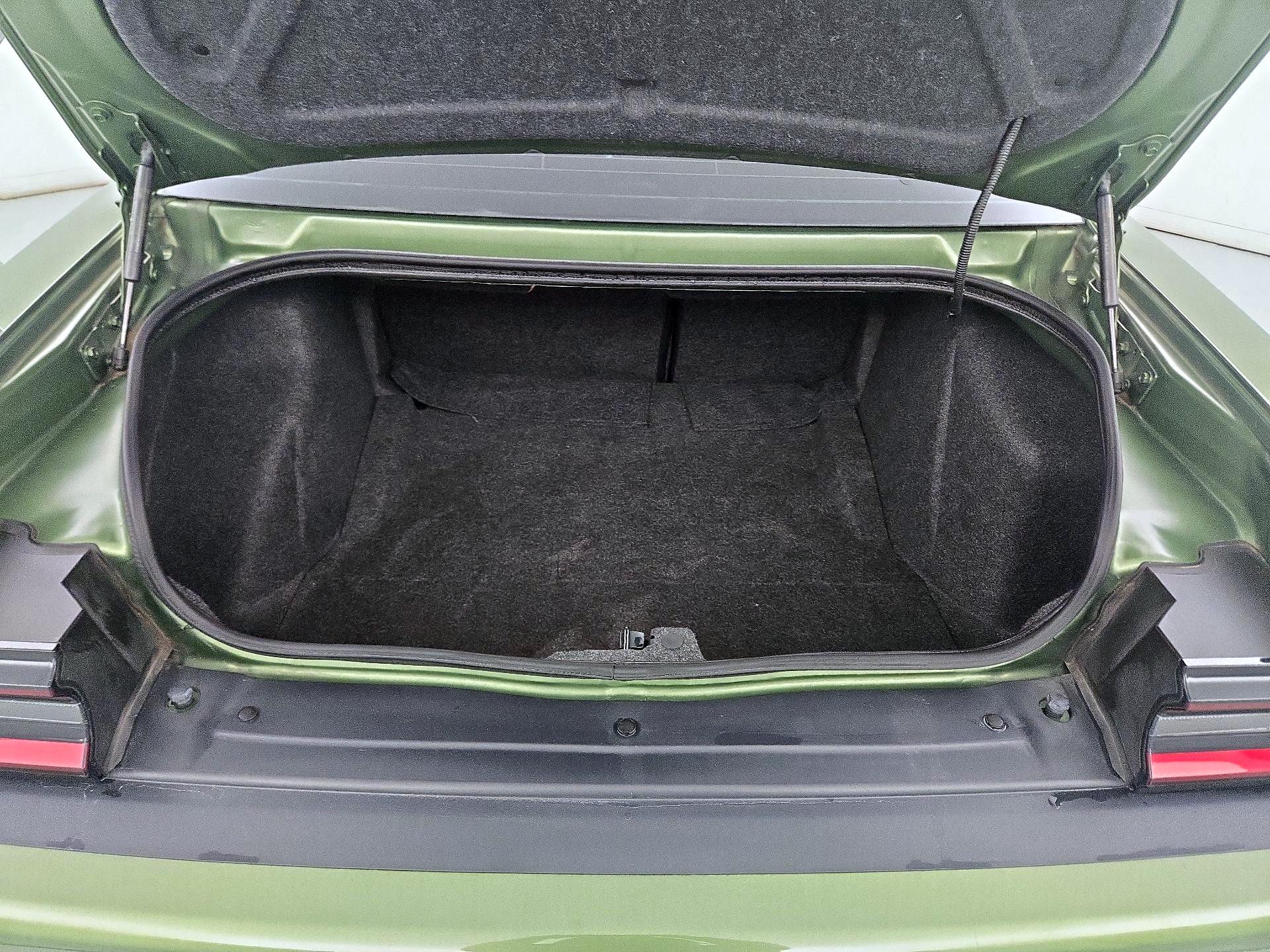 Thumbnail: 2019 Dodge Challenger - 20