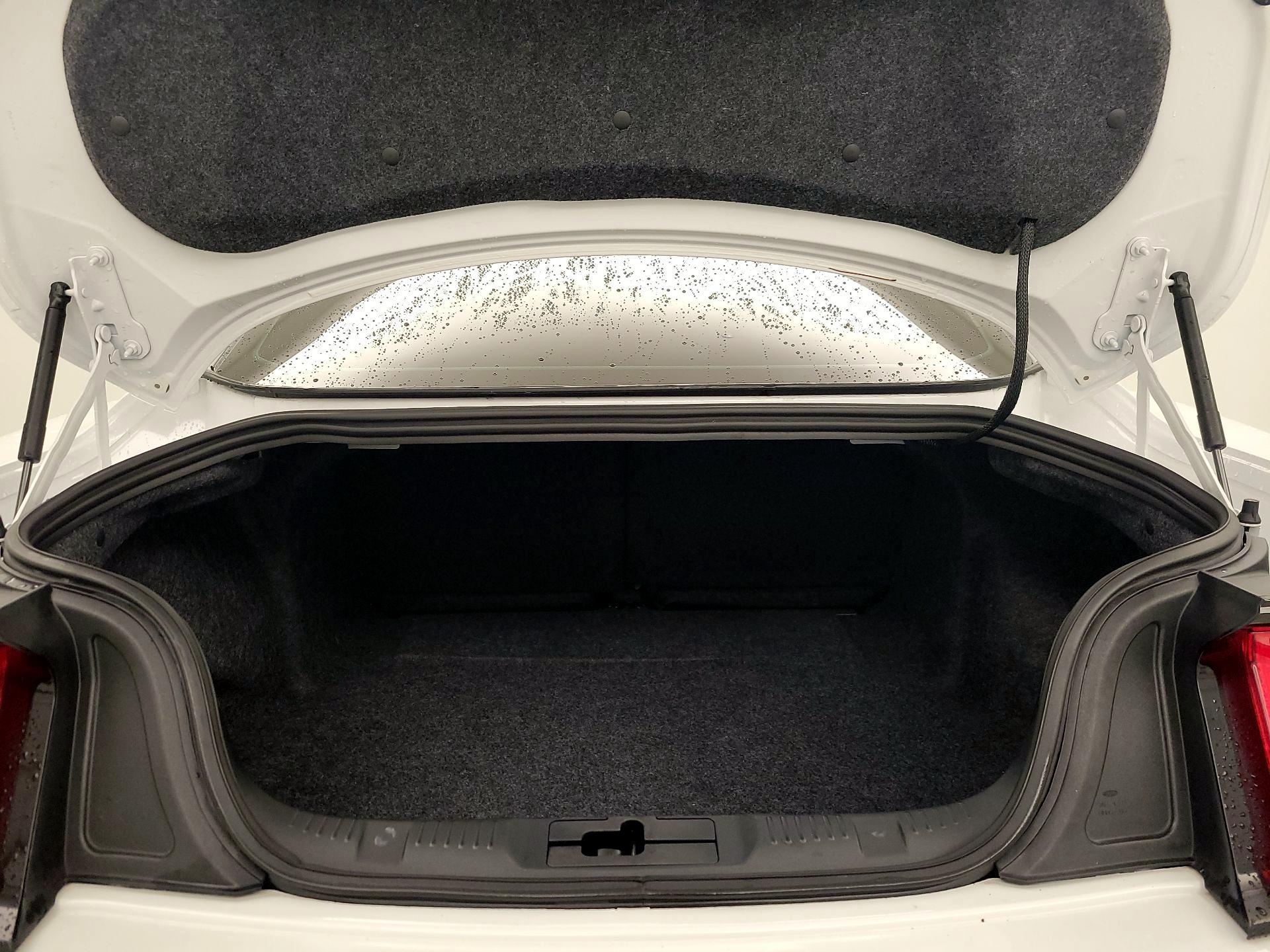 Thumbnail: 2019 Ford Mustang - 20