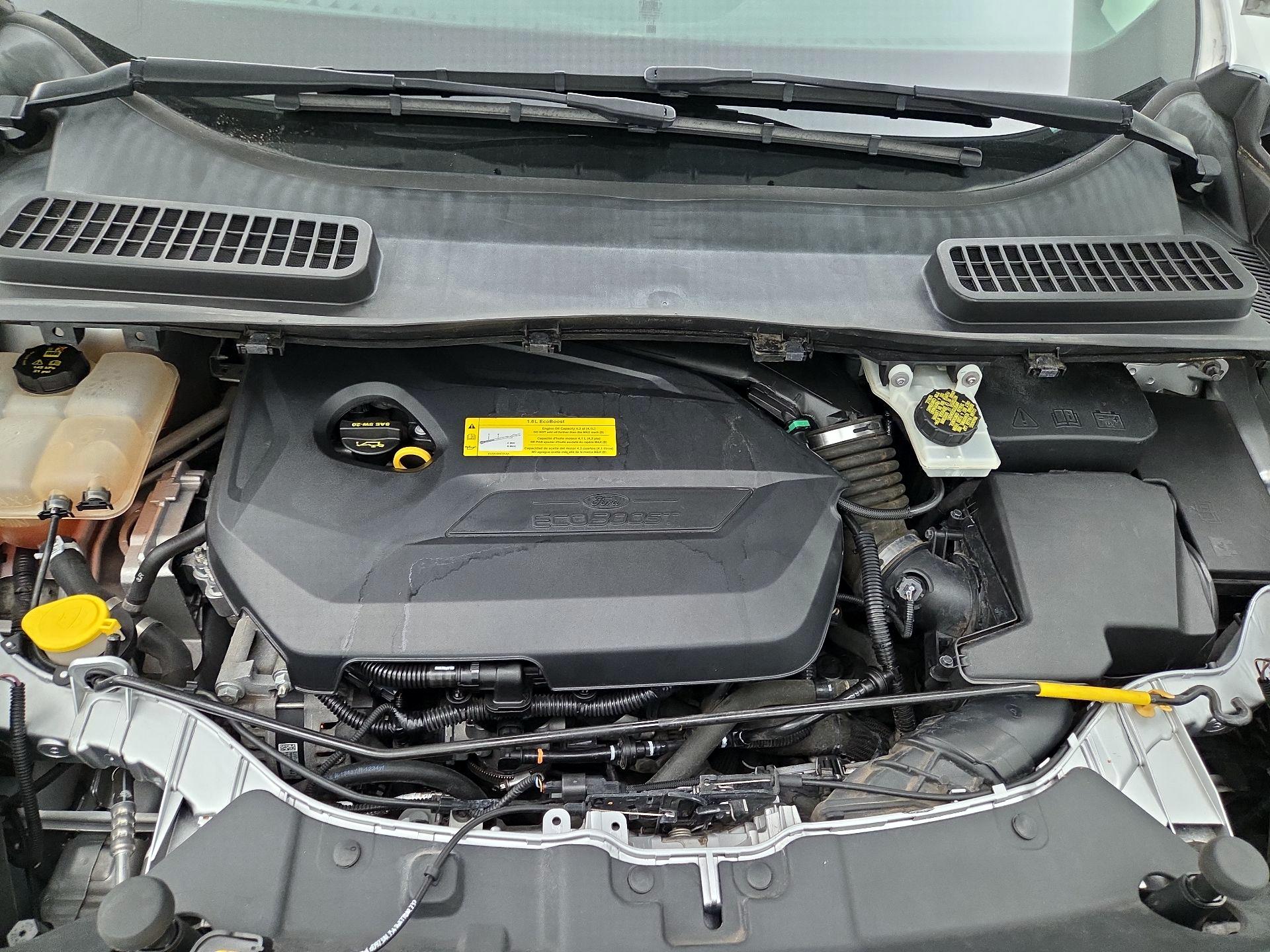 Thumbnail: 2016 Ford Escape - 20