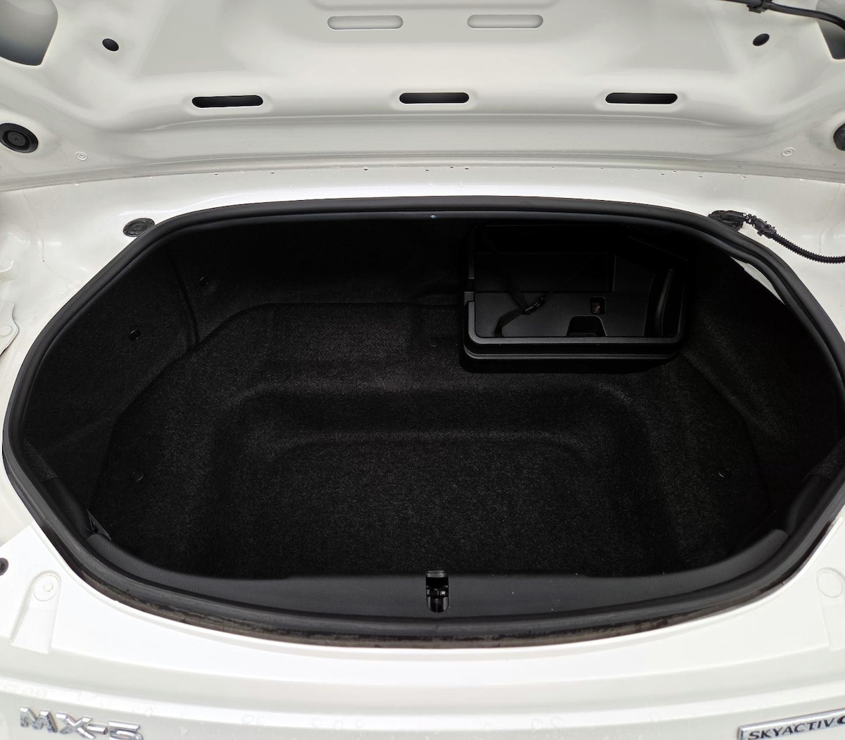 Trunk/Cargo (Seats Up)