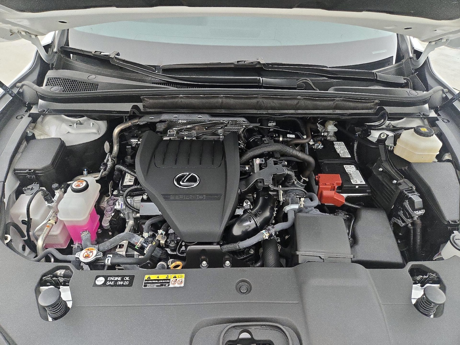 2025 Lexus RX 350 - Photo 22