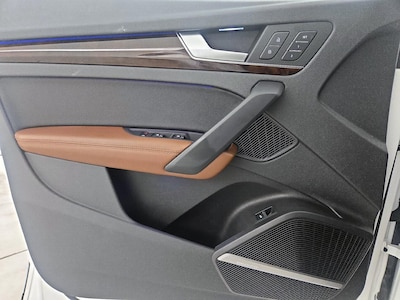 Driver Door Panel