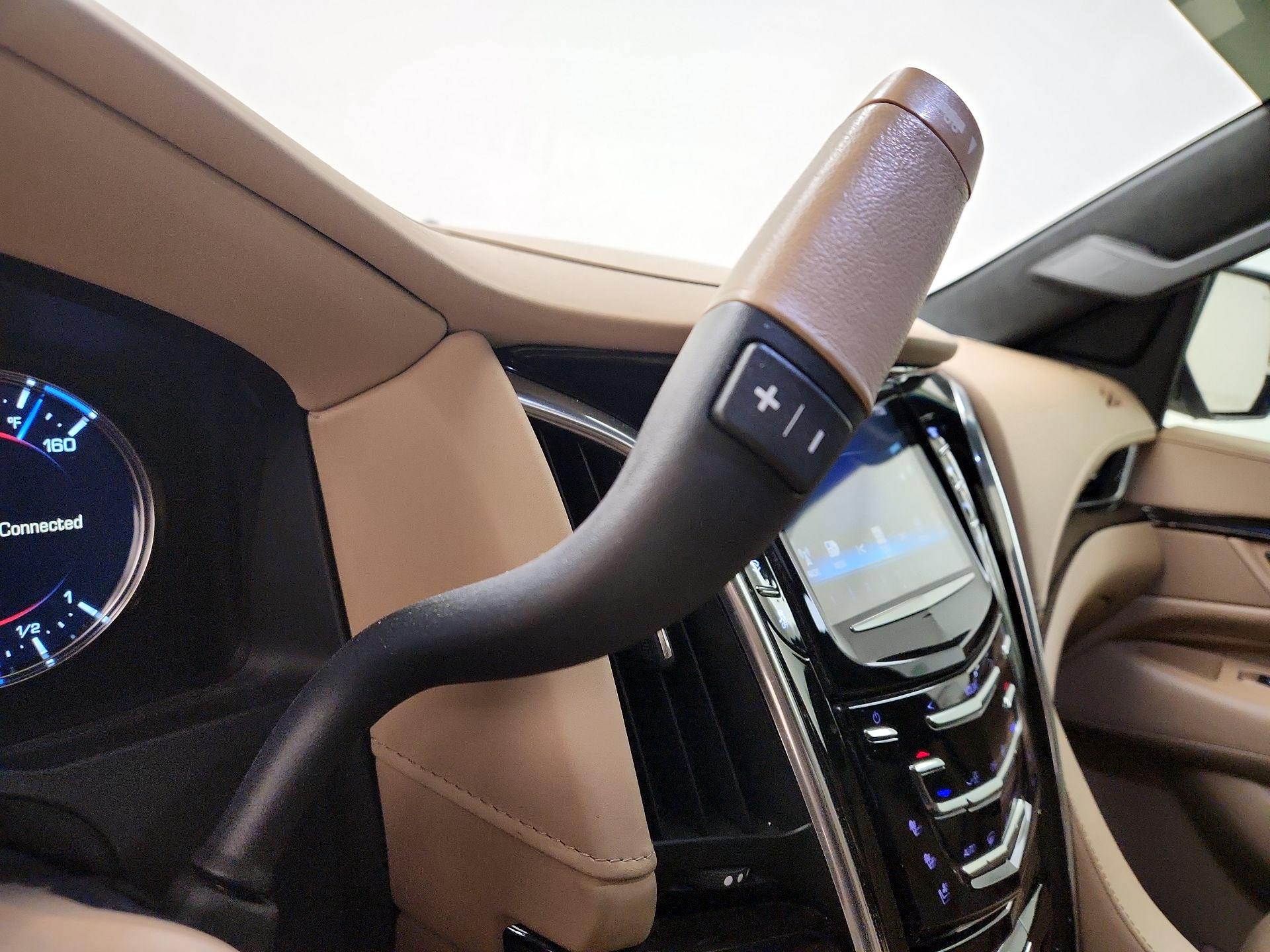 Thumbnail: 2019 Cadillac Escalade - 18