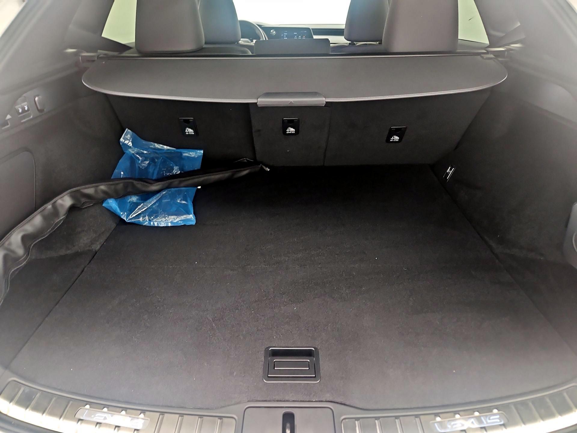 Thumbnail: 2024 Lexus RX - 19