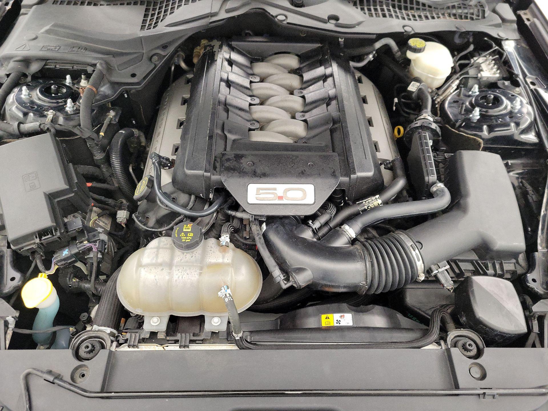 Thumbnail: 2017 Ford Mustang - 20