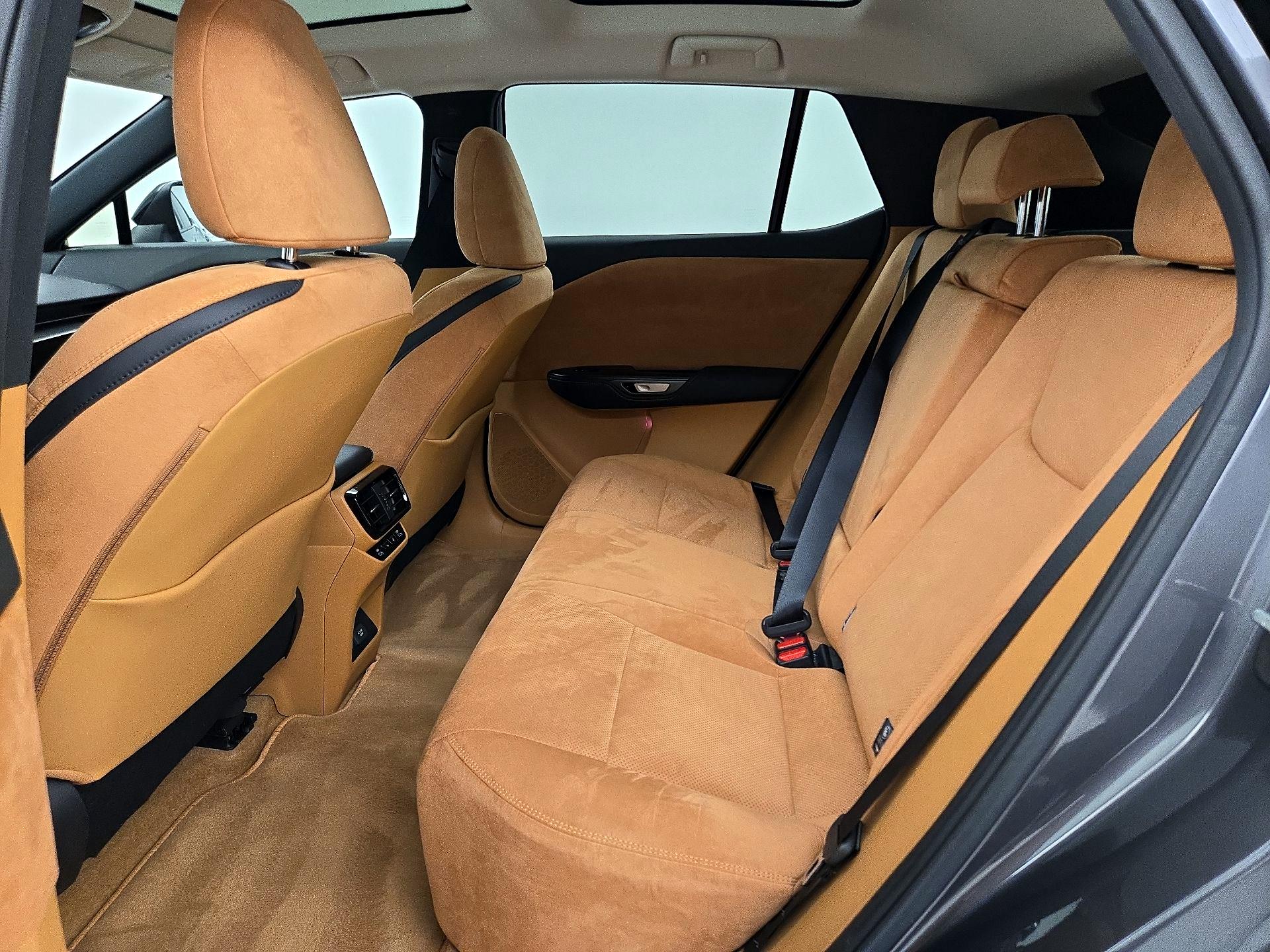 Thumbnail: 2023 Lexus RZ - 20