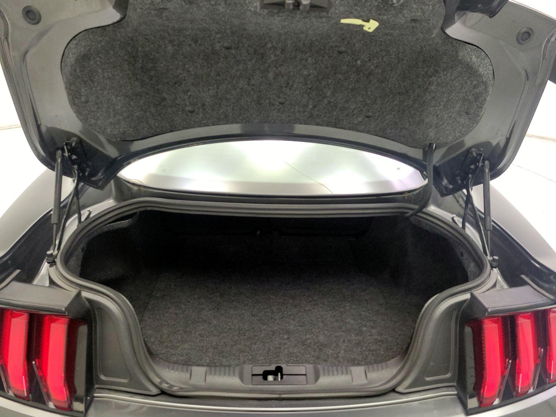 Thumbnail: 2019 Ford Mustang - 19