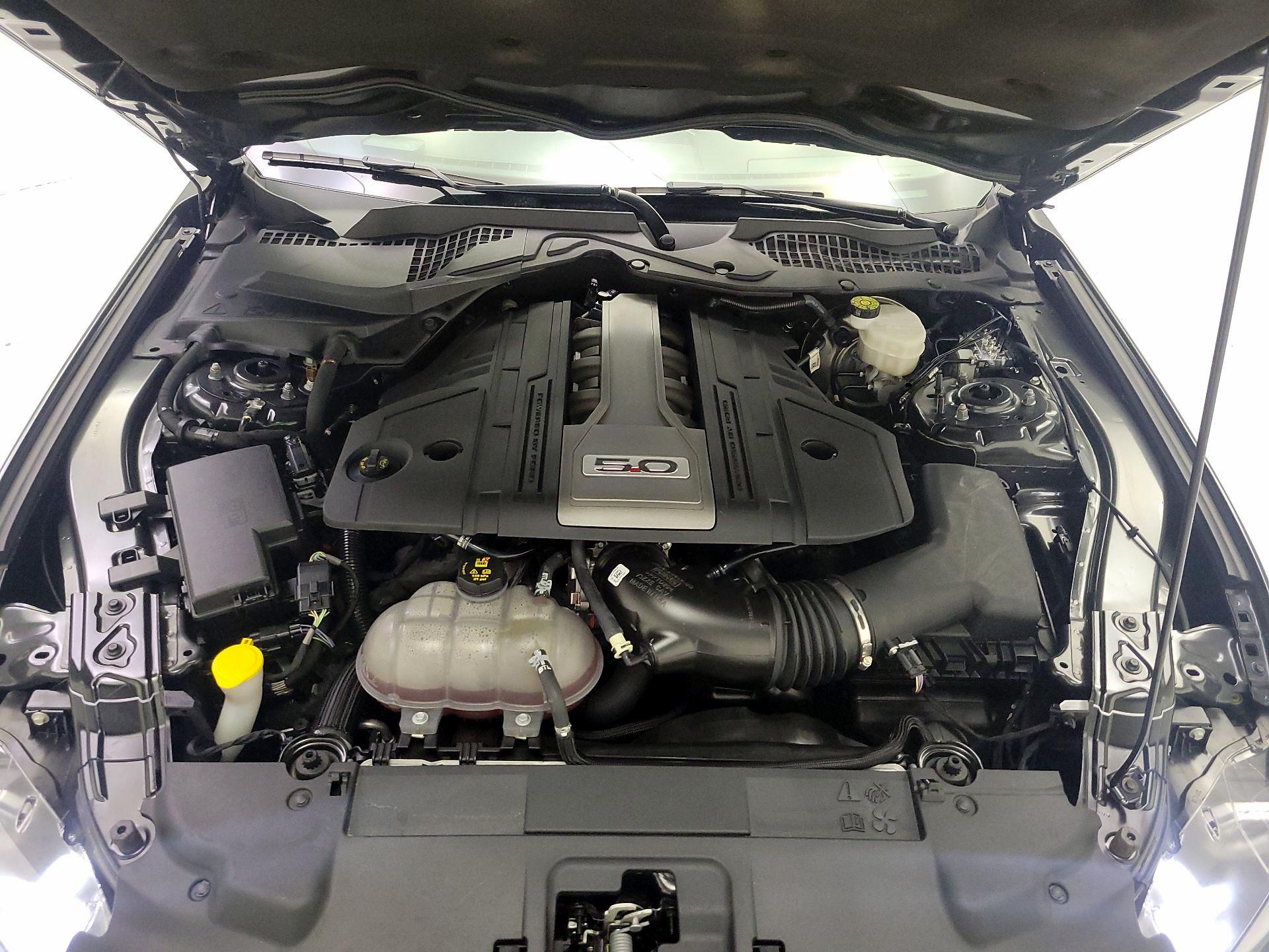 Thumbnail: 2019 Ford Mustang - 20