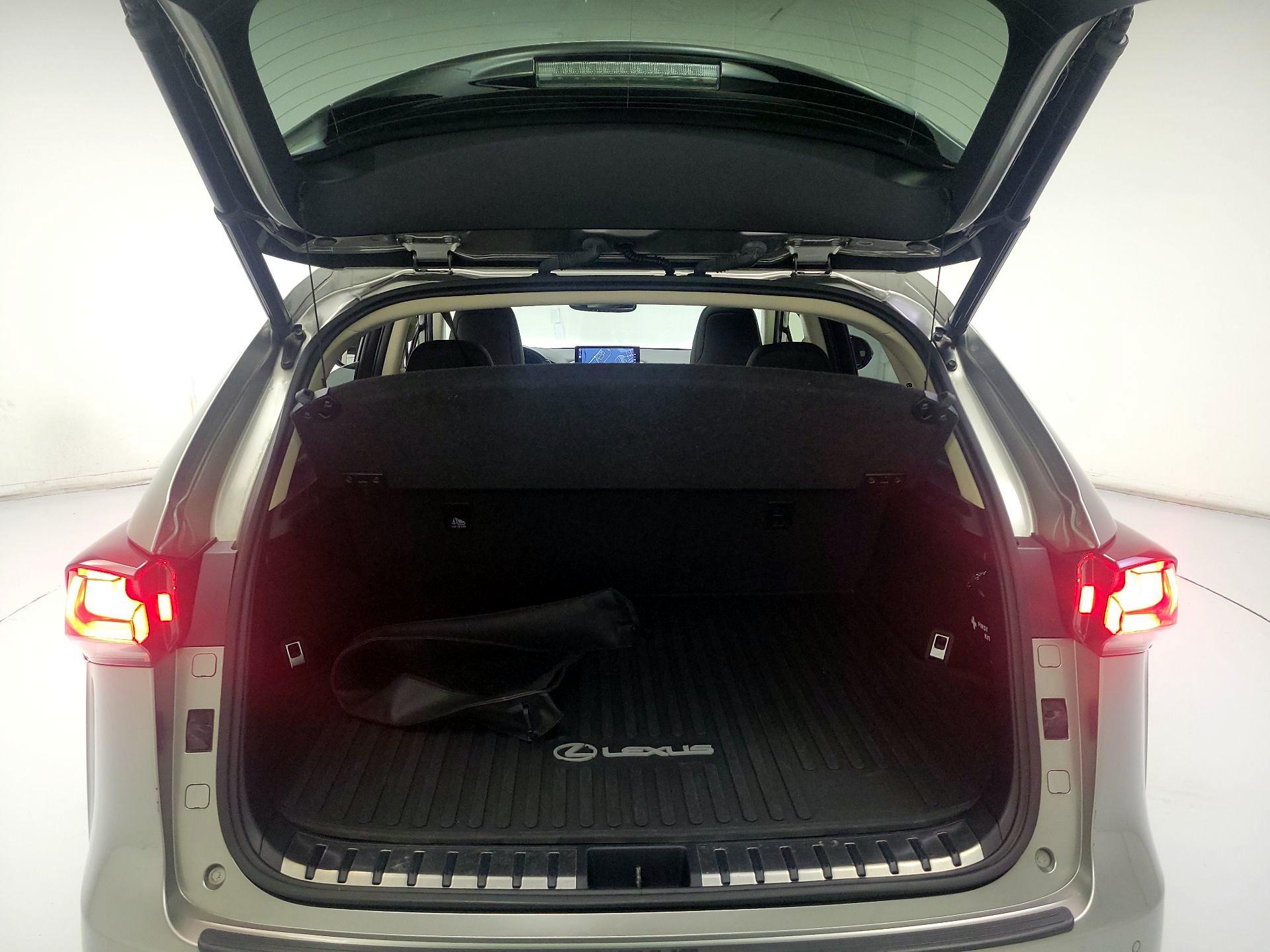 Thumbnail: 2018 Lexus NX - 20