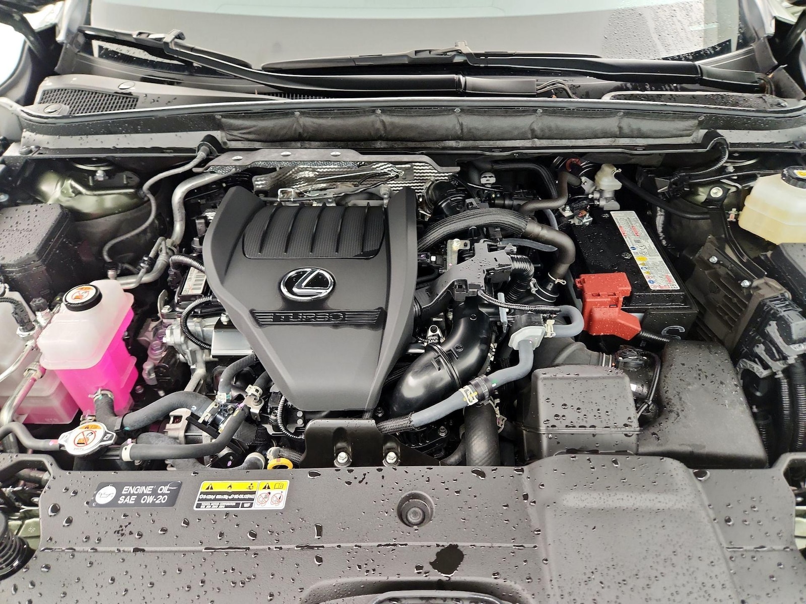2025 Lexus RX 350 - Photo 24