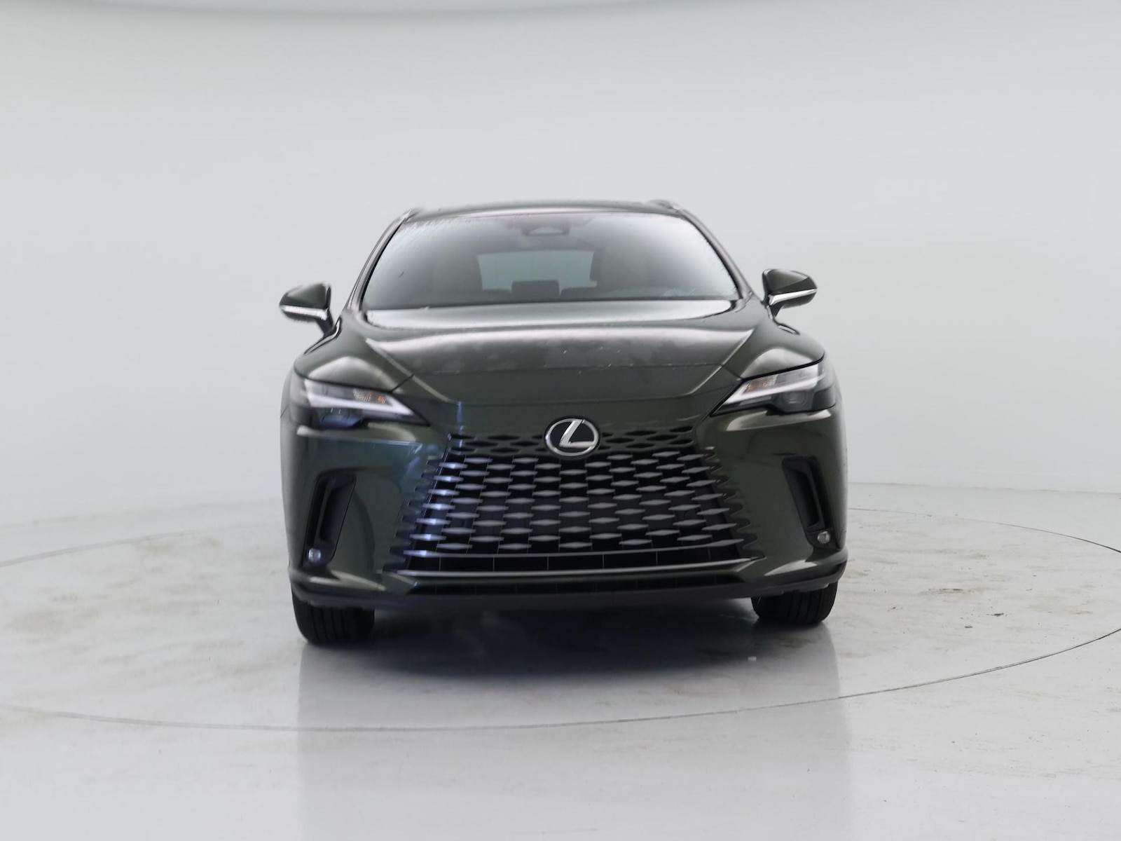 2025 Lexus RX 350 - Photo 6