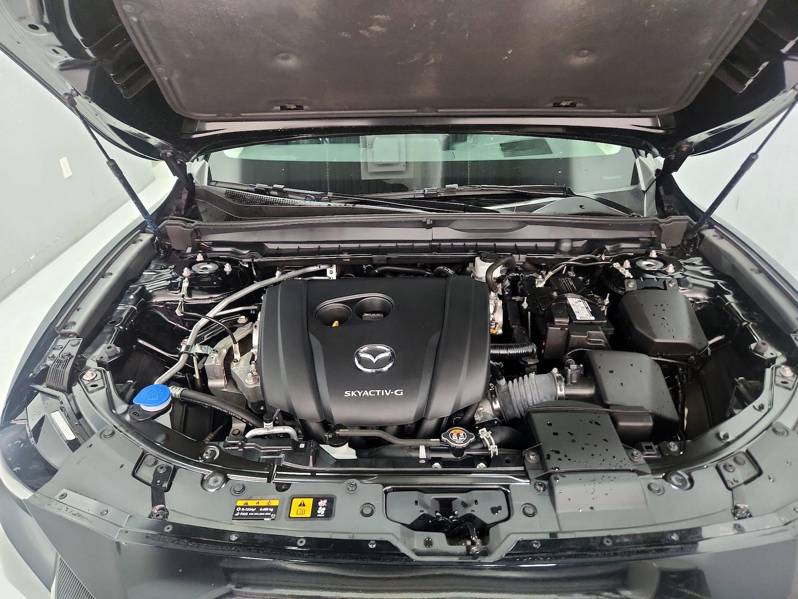2024 Mazda CX-50 S PREMIUM PLUS - Photo 23