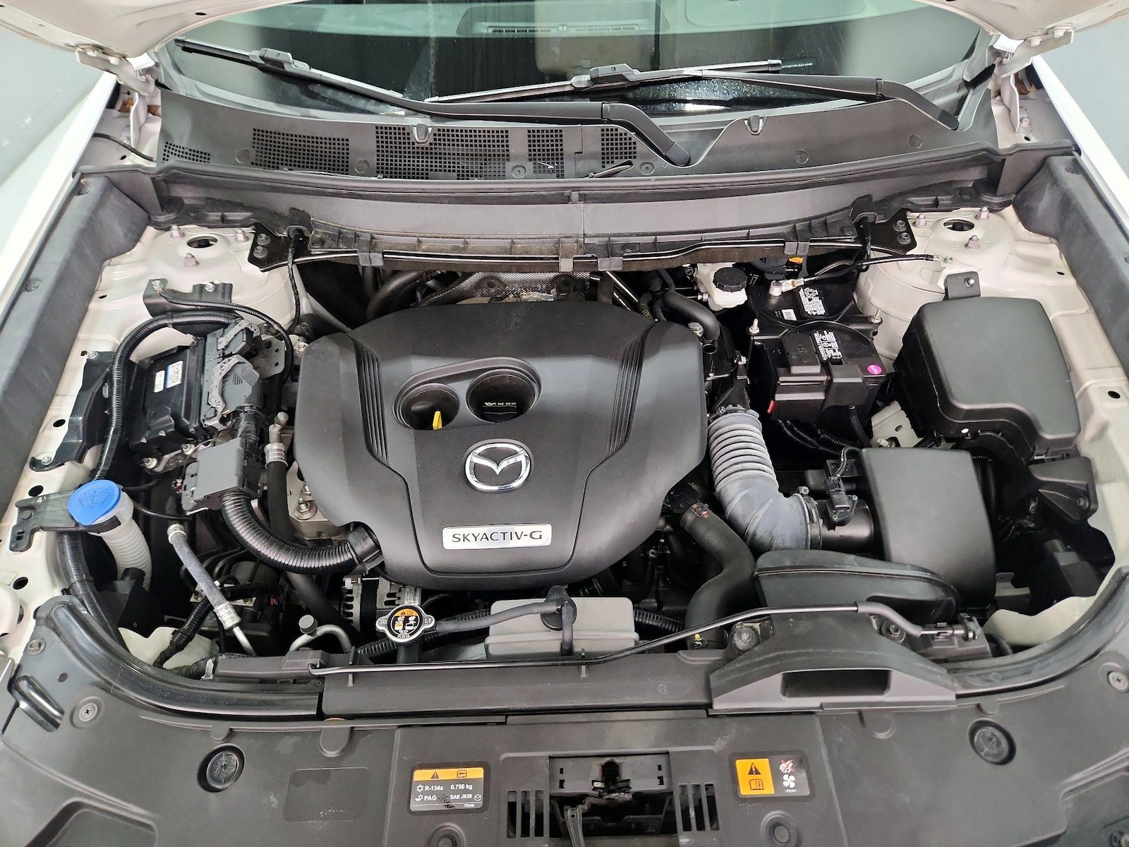 2020 Mazda CX-9 Signature - Photo 25