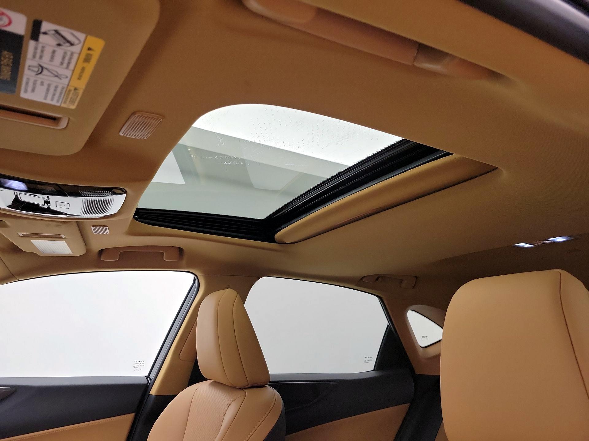 Thumbnail: 2026 Lexus NX - 19