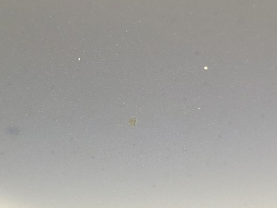 Condition detail