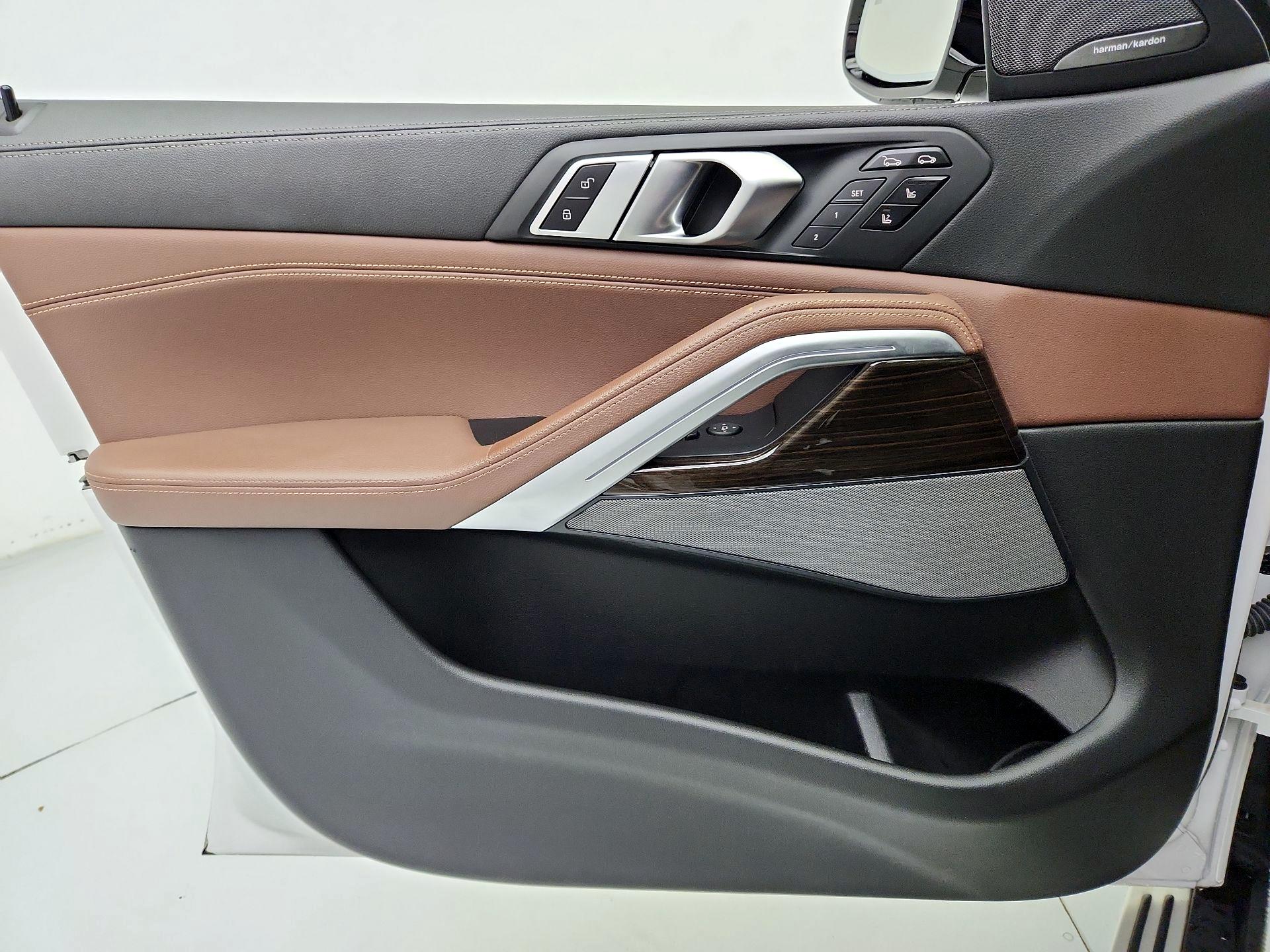 Thumbnail: 2020 BMW X6 - 12