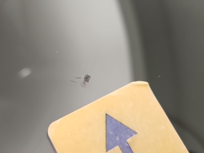 Windshield - Passenger Front Cosmetic Imperfection