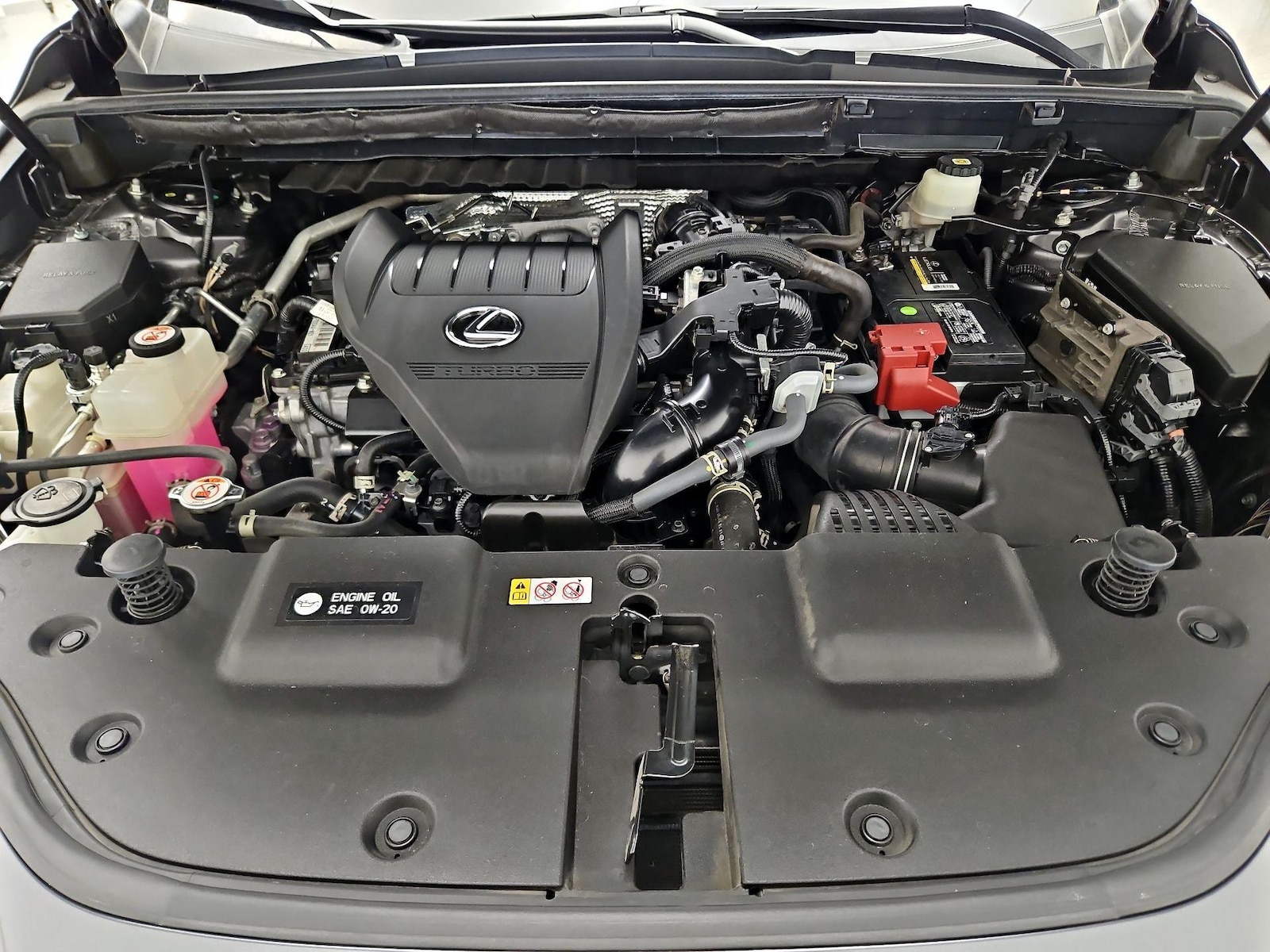 2024 Lexus NX 350 - Photo 23