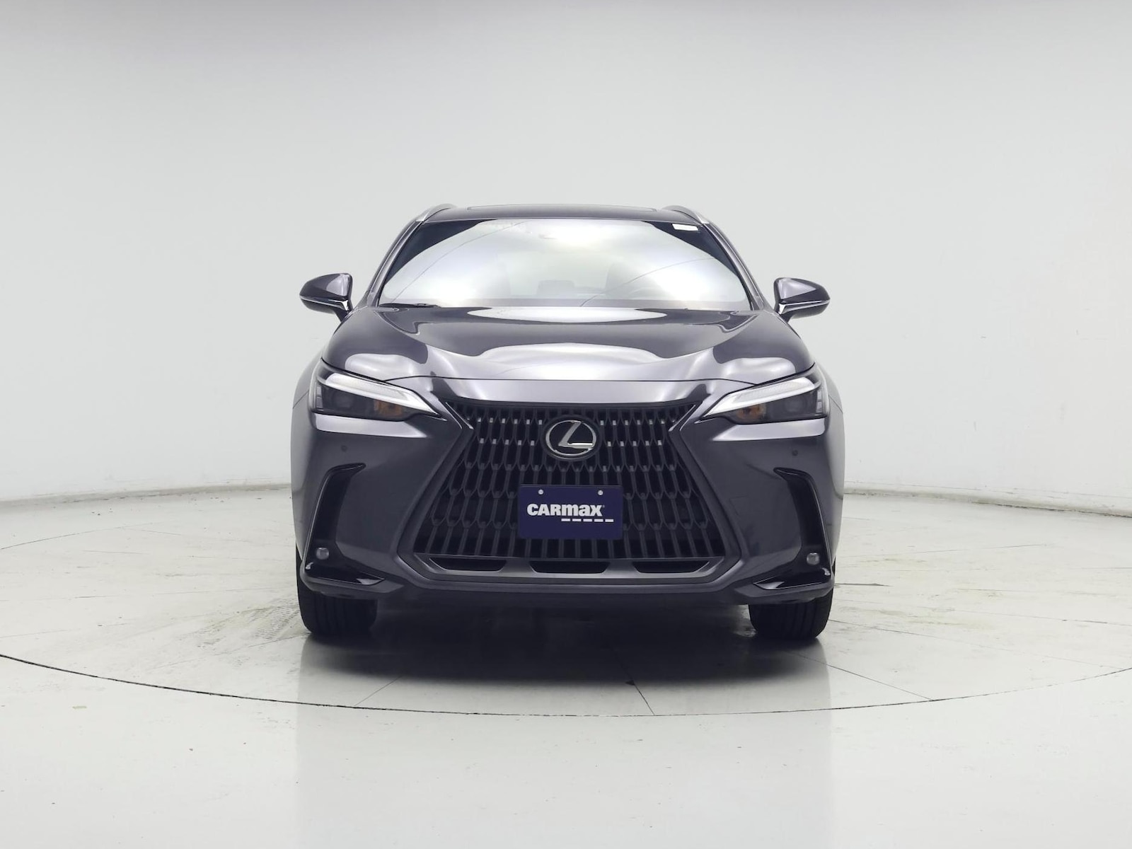 2024 Lexus NX 350 - Photo 6