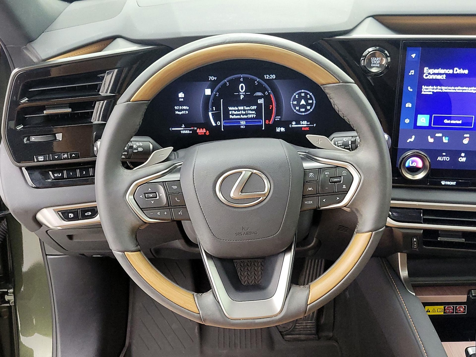2025 Lexus RX 350 - Photo 11