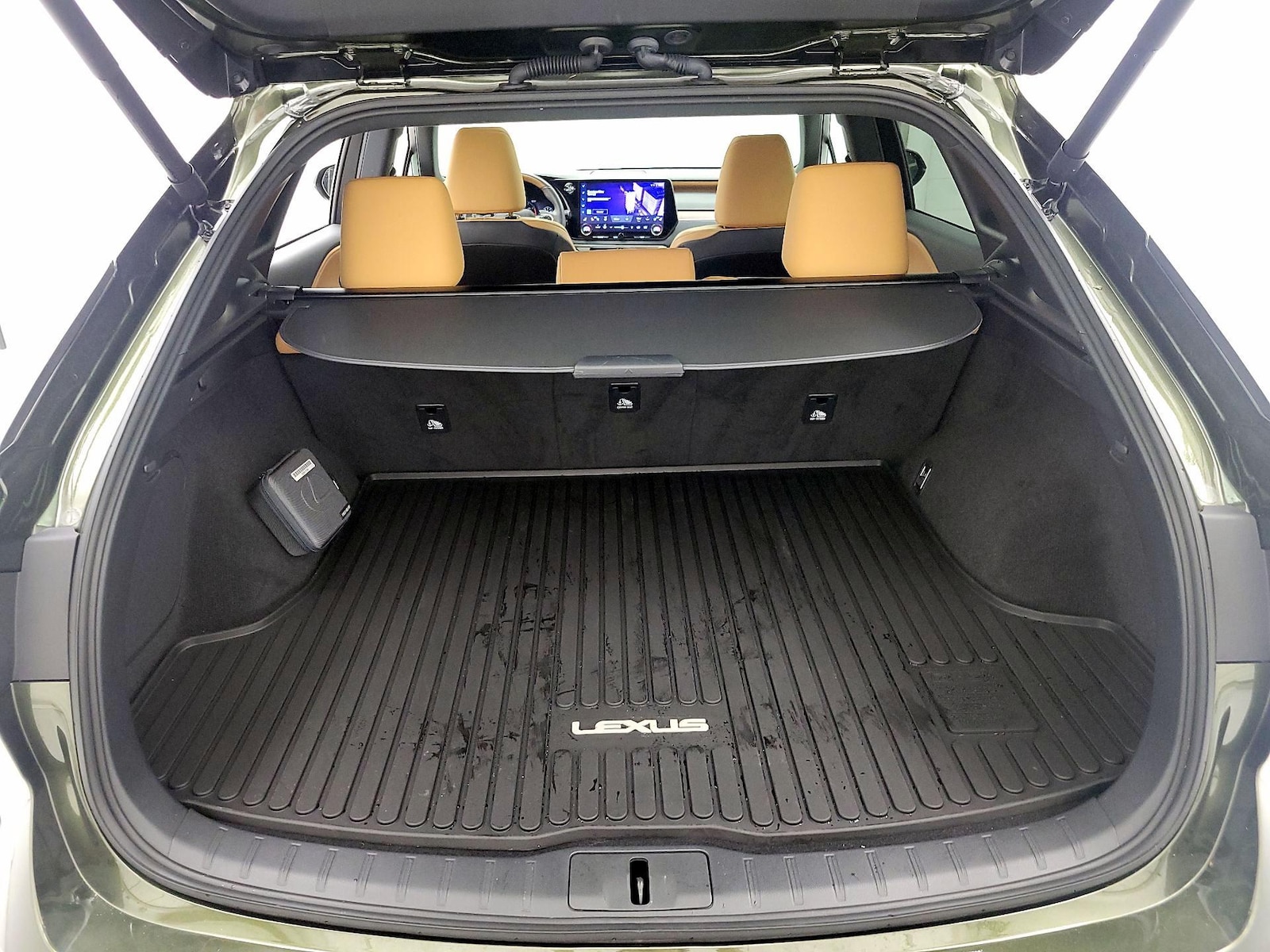 2025 Lexus RX 350 - Photo 22