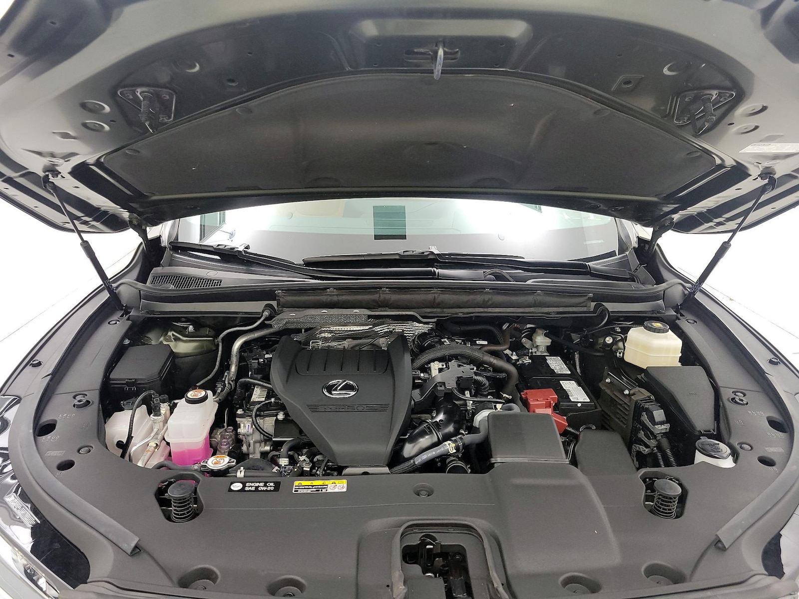 2025 Lexus RX 350 - Photo 23