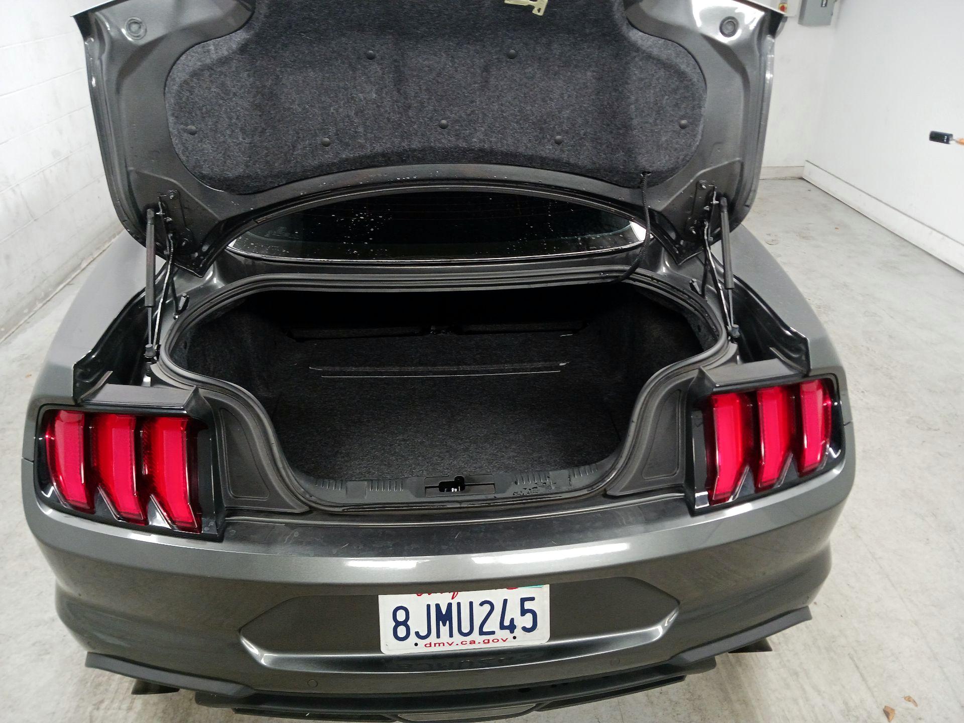 Thumbnail: 2019 Ford Mustang - 17