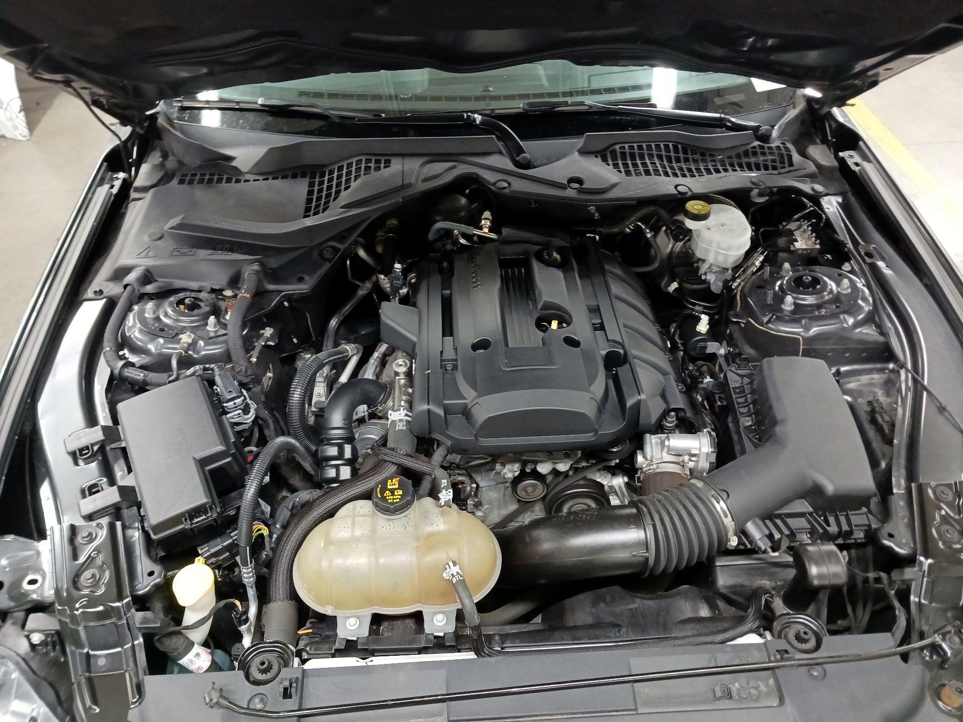 Thumbnail: 2019 Ford Mustang - 18