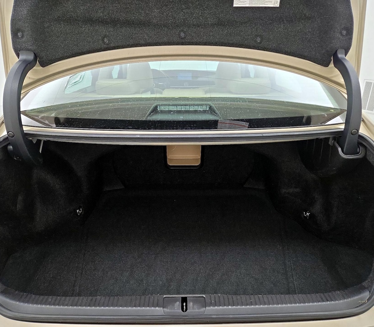 Trunk/Cargo (Seats Up)