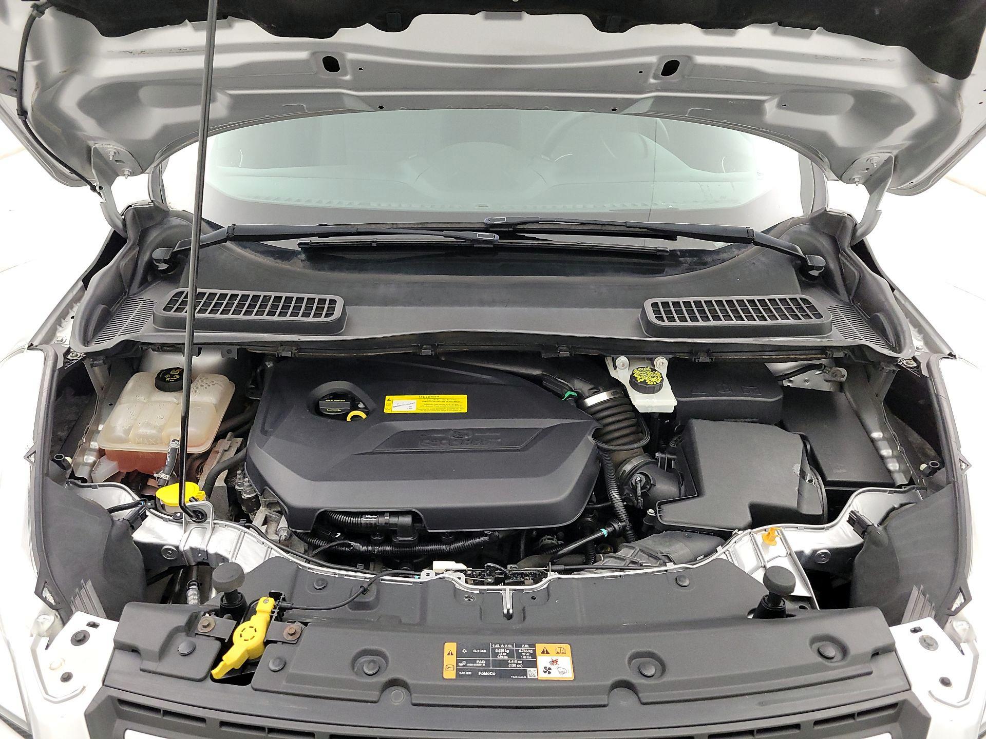 Thumbnail: 2016 Ford Escape - 19