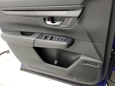 Driver Door Panel