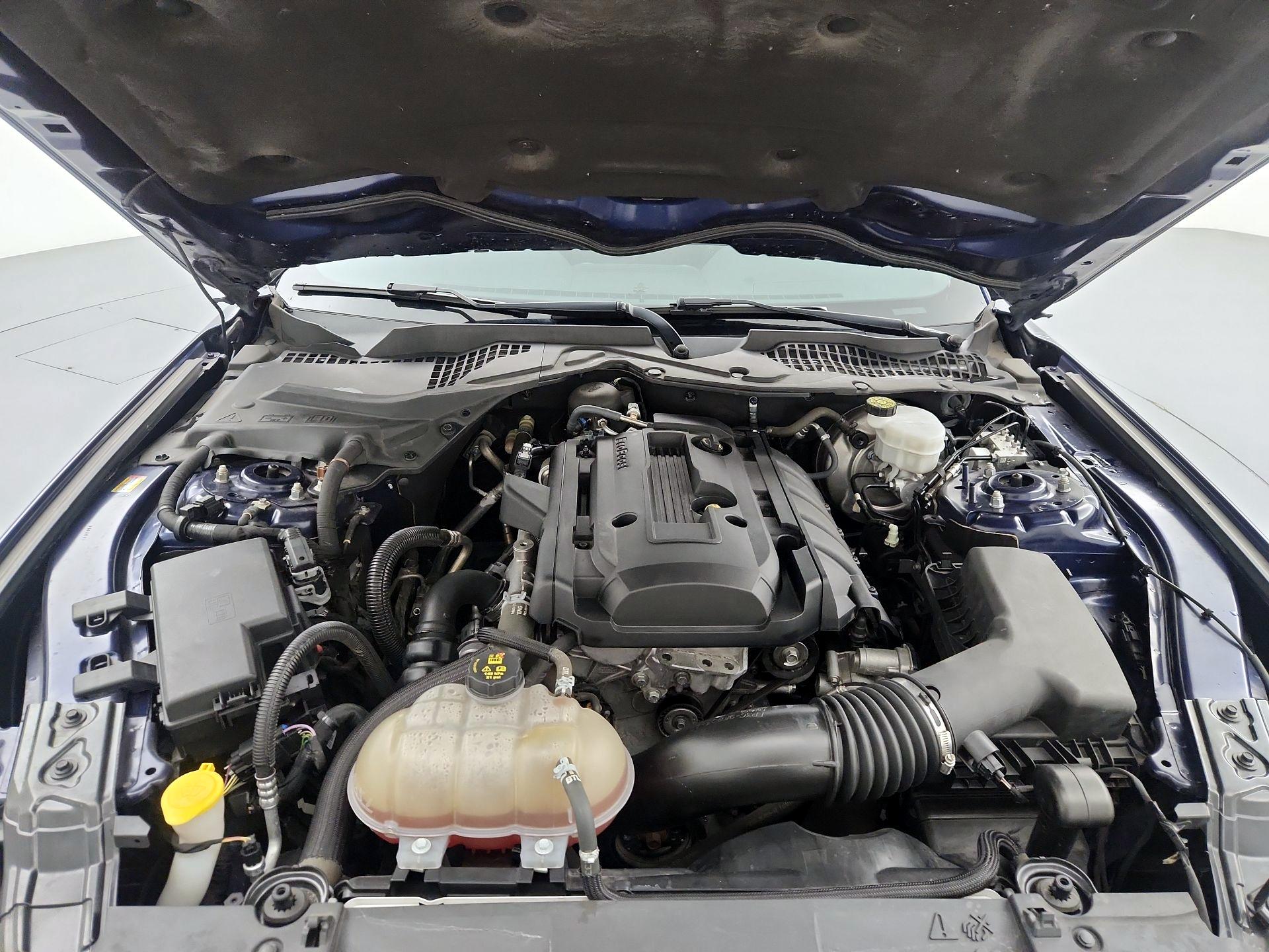 Thumbnail: 2019 Ford Mustang - 20